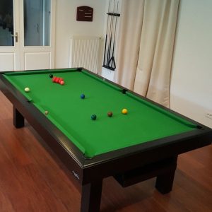dauphin-contemporain-snooker